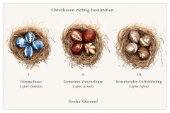 VicTor - "Frohe Ostern!"