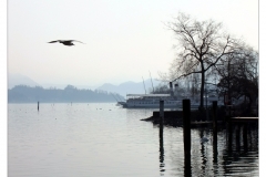 - "Luzerner See"