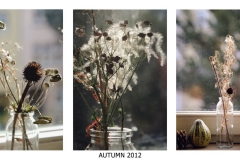 johannes - "Autumn 2012"