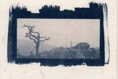 Stefan - "Sächsische Schweiz"