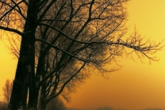 SebastianGrabert - "lake guardians"