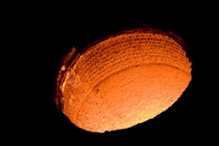 Enrico - "Teuflisch"