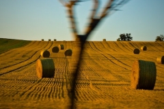 SebastianGrabert - "wie im Fluge"