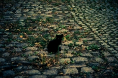 SebastianGrabert - "unheimlich klein"