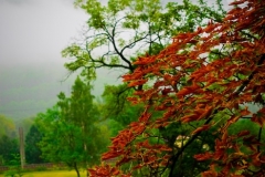 SebastianGrabert - "ferner Nebel"