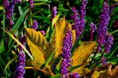 SebastianGrabert - "nur ein Blatt"