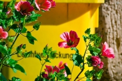 SebastianGrabert - "Müllblumen"