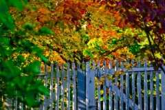 SebastianGrabert - "herbstliches Tor"