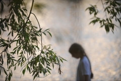 johannes - "behind the curtain"