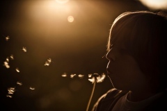 Oliver Helbig - "Pusteblume"