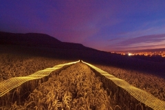 paule - "light waves I"