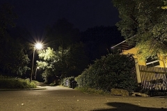 Hans - "Fuchsturmweg"