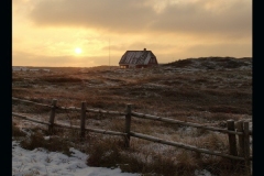 Torsten - "Nordseedünen "