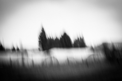 johannes - "april blur III"
