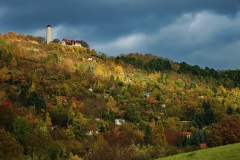 Torsten - "Erleuchtet"