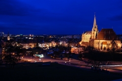 Torsten - "Erfurt VII"