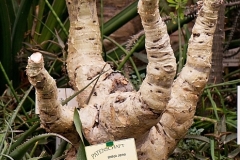 henryk - "Ohne Kommentar"