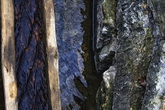 Hans - "Am Fürstenbrunnen"