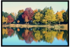 Torsten - "Herbstspiegelung 1"