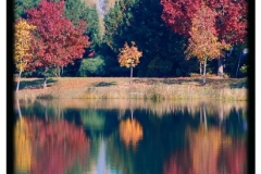 Torsten - "Herbstspiegelung 2"