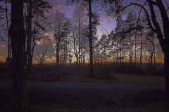 Frank Klemm - "Weimar"