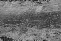 Frank Klemm - "Nixon Frost"