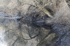 Frank Klemm - "Water"