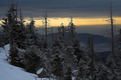 Frank Klemm - "Schwarzwald"