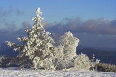 Frank Klemm - "Schnee"