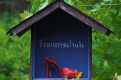 Frank Klemm - "Frauenschuh"