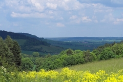 Frank Klemm - "Stinknormal"