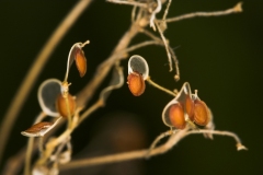 Frank Klemm - "Trocken"