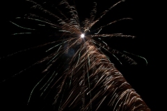 StephanK - "Feuerpalme"