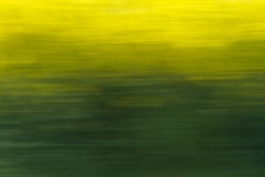 StephanK - "Frühlingsimpression"