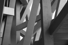 StephanK - "Die Träger des Birdnests"