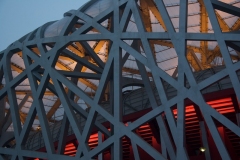 StephanK - "Buntes Licht im Birdnest"