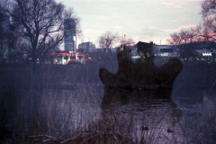 johannes - "longing for civilization"