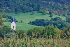 Torsten - "Kunitz 02"