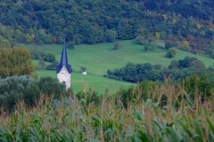 Torsten - "Kunitz 02a"