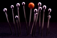 Torsten - "Abgesteckt 2"