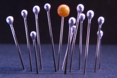 Torsten - "Abgesteckt 1"