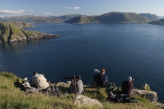 hwei - "Bei den Papgeitauchern auf Runde"