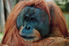 Torsten - "Im Glashaus "