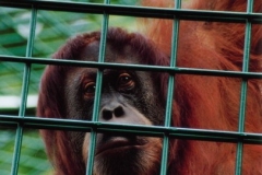 Torsten - "Gefangen!"