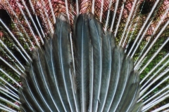 Torsten - "Von hinten"