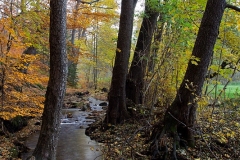 Hans - "Der ""Poetenweg"" im Vogtland"