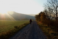 Torsten - "Herbsttag III"