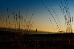 Torsten - "Stillleben naturell"