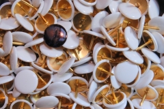 Torsten - "Gezwickt 1"