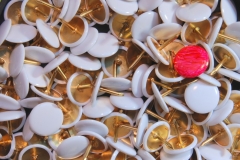 Torsten - "Gezwickt 2"